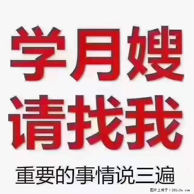 为什么要学习月嫂,育婴师? - 新手上路 - 丽江生活社区 - 丽江28生活网 lj.28life.com