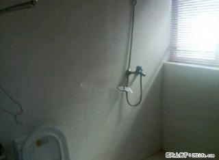 民主路上锦天国际 3室2厅1卫出租,带家具家电,拎包入住 - 丽江28生活网 lj.28life.com