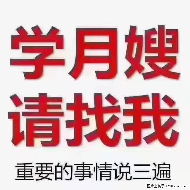 【招聘】月嫂,上海徐汇区 - 职场交流 - 丽江生活社区 - 丽江28生活网 lj.28life.com