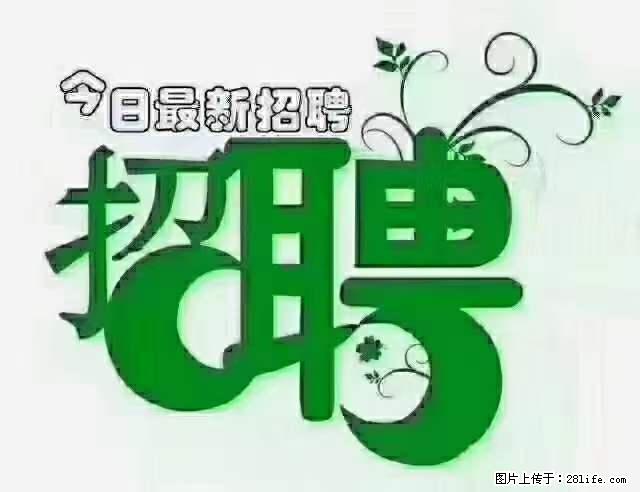 上海青浦区招仓管 - 职场交流 - 丽江生活社区 - 丽江28生活网 lj.28life.com