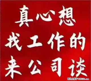 【上海】国企,医院招两名男保安,55岁以下,身高1.7米以上,无犯罪记录不良嗜好 - 丽江28生活网 lj.28life.com