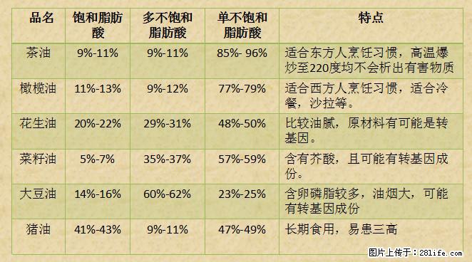 揭秘茶油的5大核心营养成分!被称为人体健康的“守护盾”! - 丽江生活资讯 - 丽江28生活网 lj.28life.com