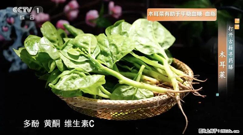 比牛奶补钙还厉害！凉血解毒、稳血糖...这菜冬天必吃，很多人却当草 - 丽江生活资讯 - 丽江28生活网 lj.28life.com