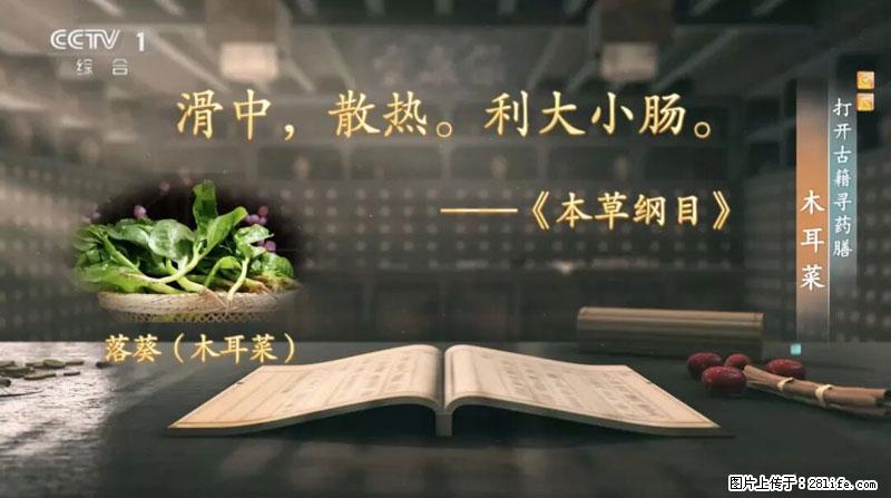 比牛奶补钙还厉害！凉血解毒、稳血糖...这菜冬天必吃，很多人却当草 - 丽江生活资讯 - 丽江28生活网 lj.28life.com