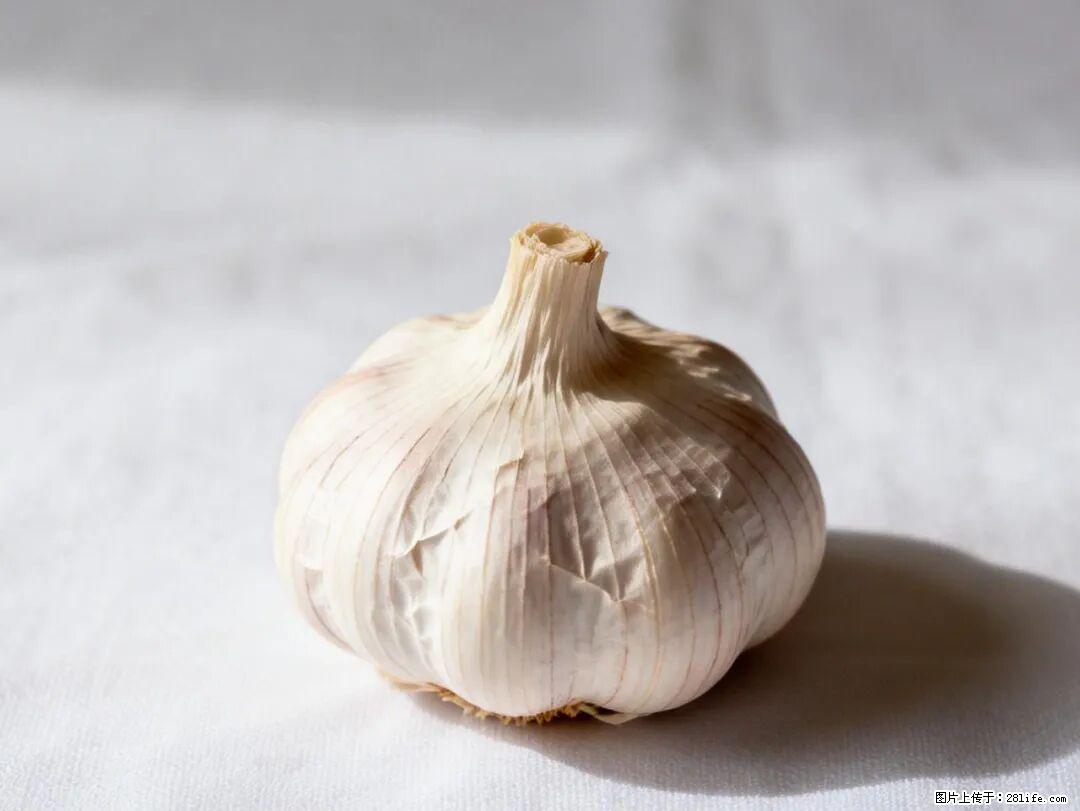 关于大蒜，除了“天然抗生素”，这4个谣言更该警惕! - 丽江生活资讯 - 丽江28生活网 lj.28life.com