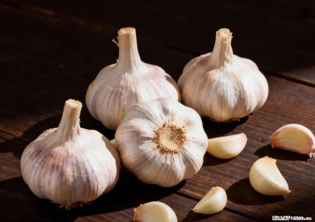 关于大蒜，除了“天然抗生素”，这4个谣言更该警惕! - 丽江生活资讯 - 丽江28生活网 lj.28life.com