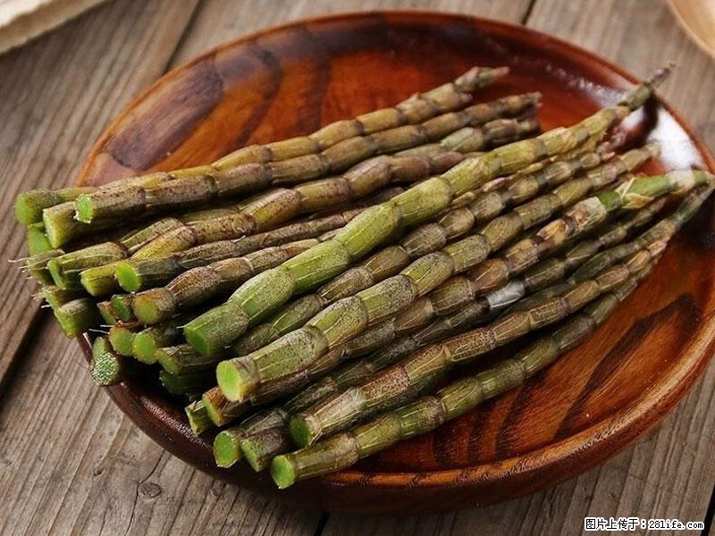 铁皮石斛的作用与功能主治 - 丽江生活资讯 - 丽江28生活网 lj.28life.com