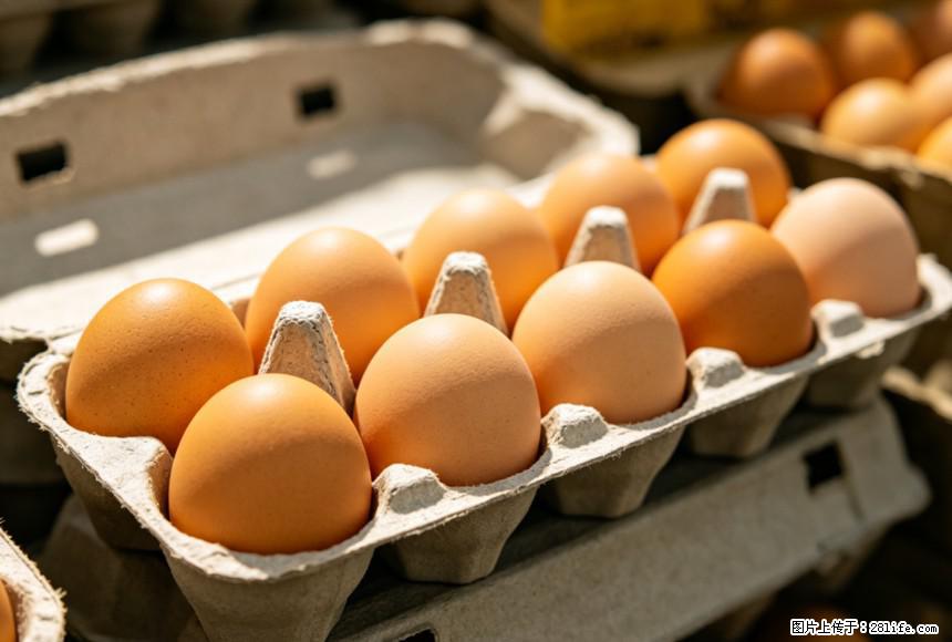 每天吃1个鸡蛋，全身收获9大好处！ - 丽江生活资讯 - 丽江28生活网 lj.28life.com