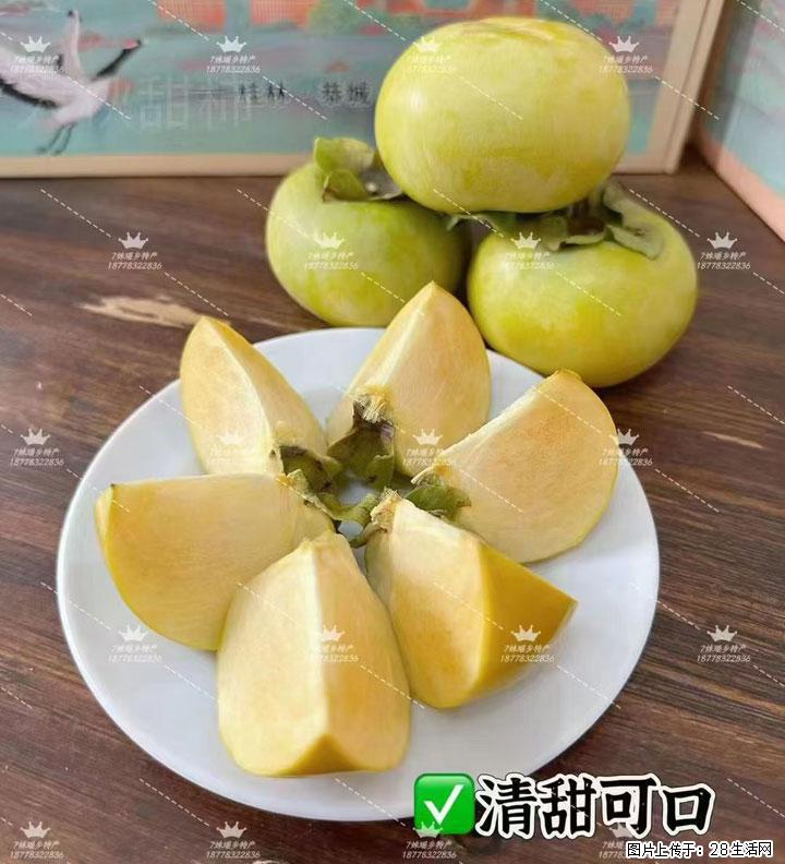 广西桂林平乐桥亭【红心猕猴桃】、【大秋甜柿】上市啦，欢迎各位新老客户下单（另有少量小果出售） - 丽江生活资讯 - 丽江28生活网 lj.28life.com